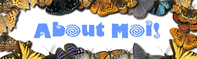About Moi! Banner. Don't take me!